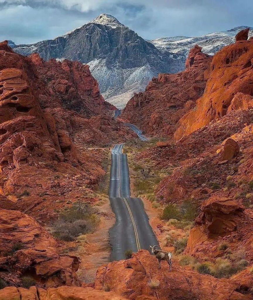 Best Things to Do in Las Vegas (2026 Guide) –