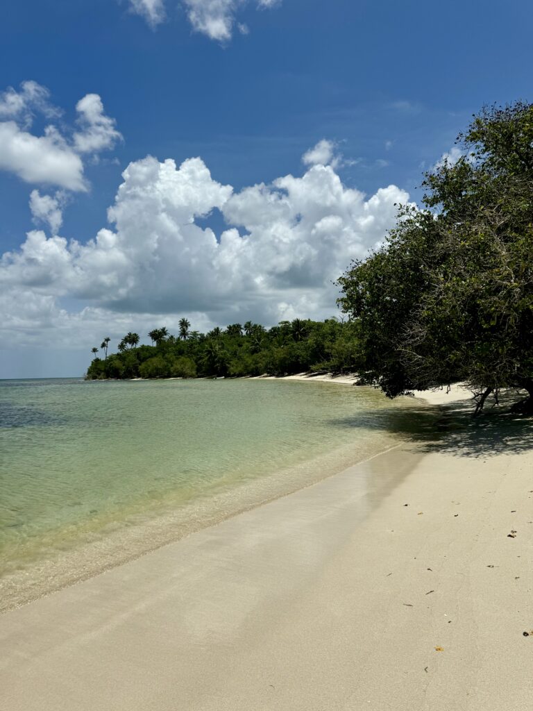 Best Things to Do in Puerto Rico: Sun, Sand & Unforgettable Adventures –