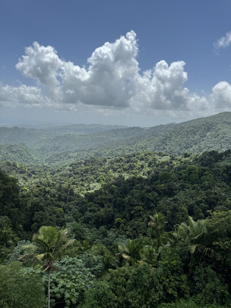 Best Things to Do in Puerto Rico: Sun, Sand & Unforgettable Adventures –