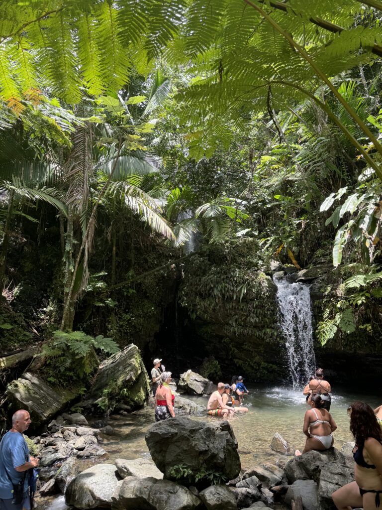 Best Things to Do in Puerto Rico: Sun, Sand & Unforgettable Adventures –