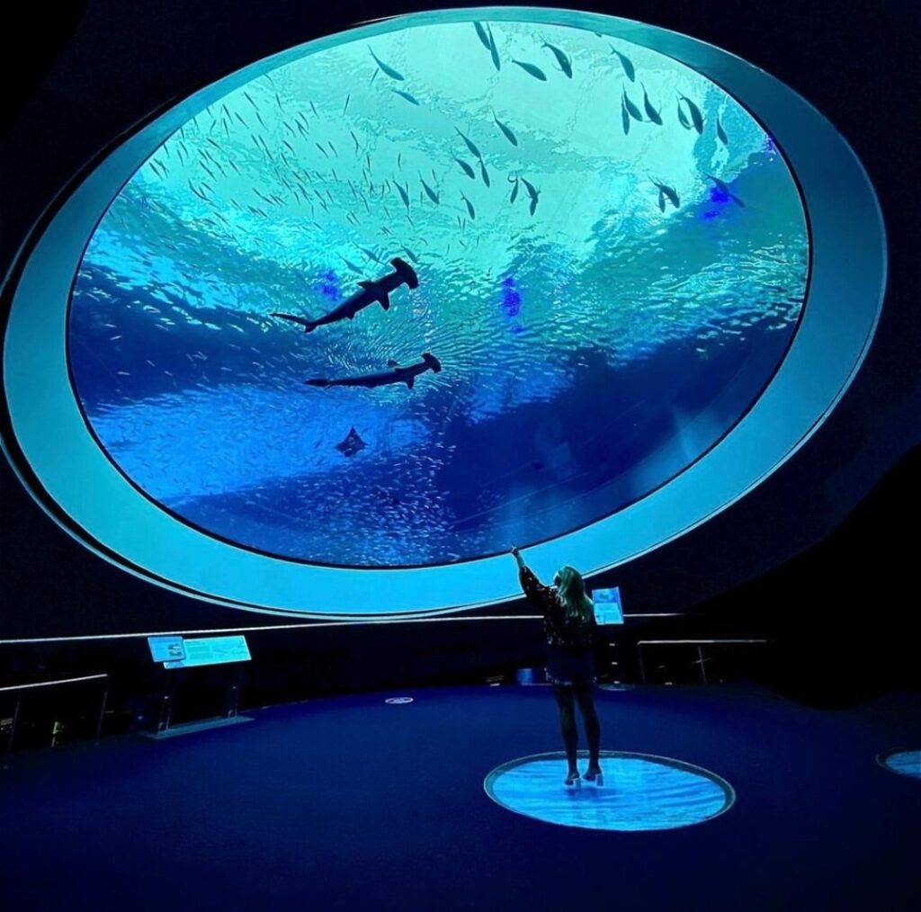 Things to Do in Tampa: 10 Must-See Attractions & Hidden Gems –