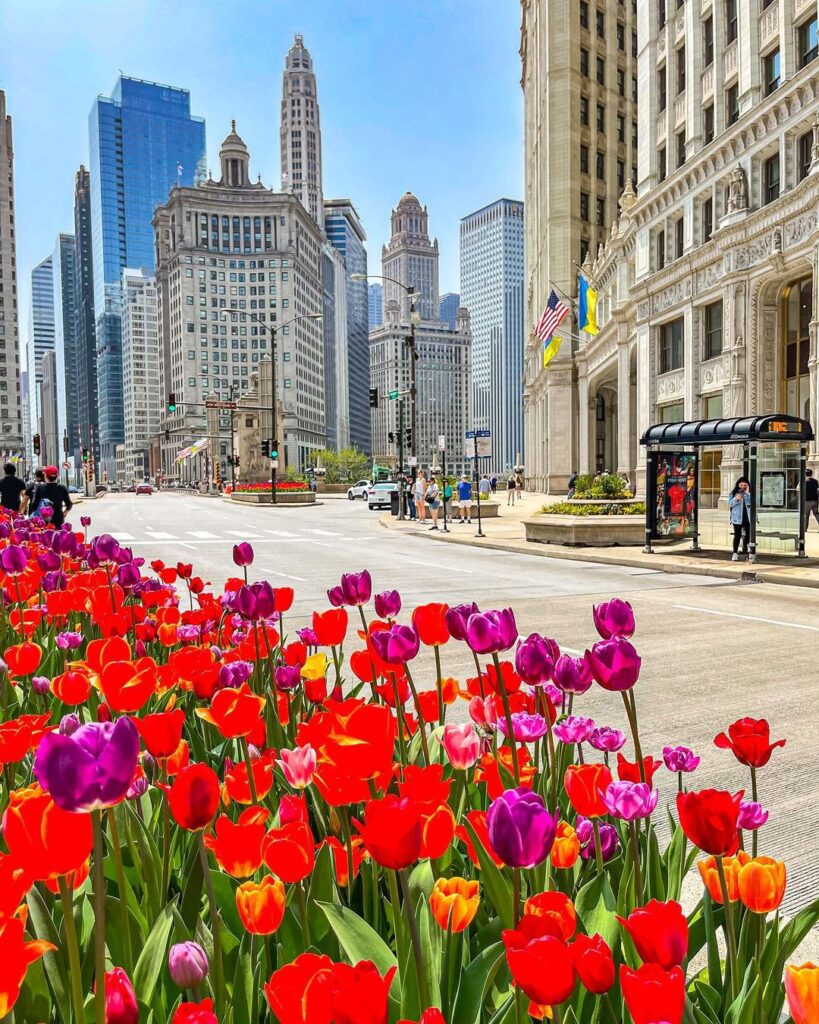 Things to Do in Chicago: 10 Must-See Places You Can’t Miss –