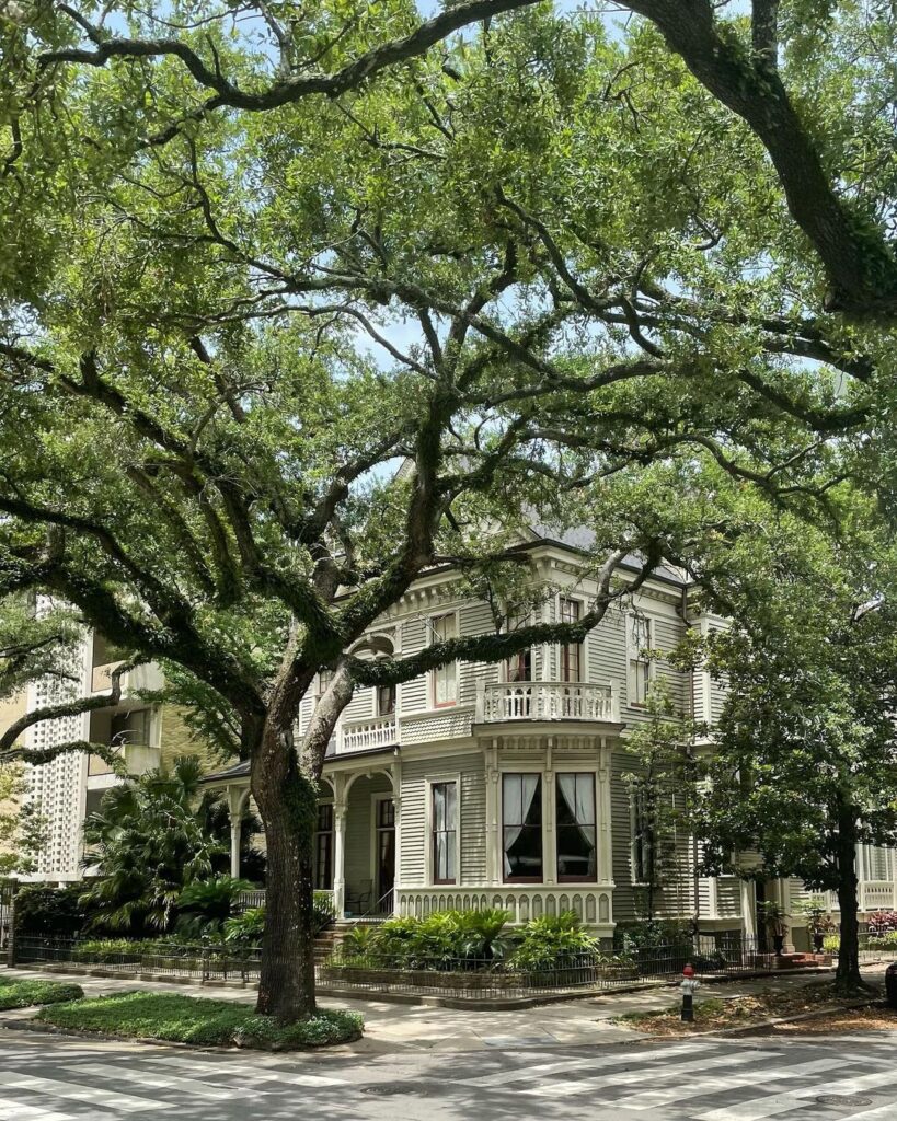 Things to Do in New Orleans: 10 Must-See Places You Can’t Miss –