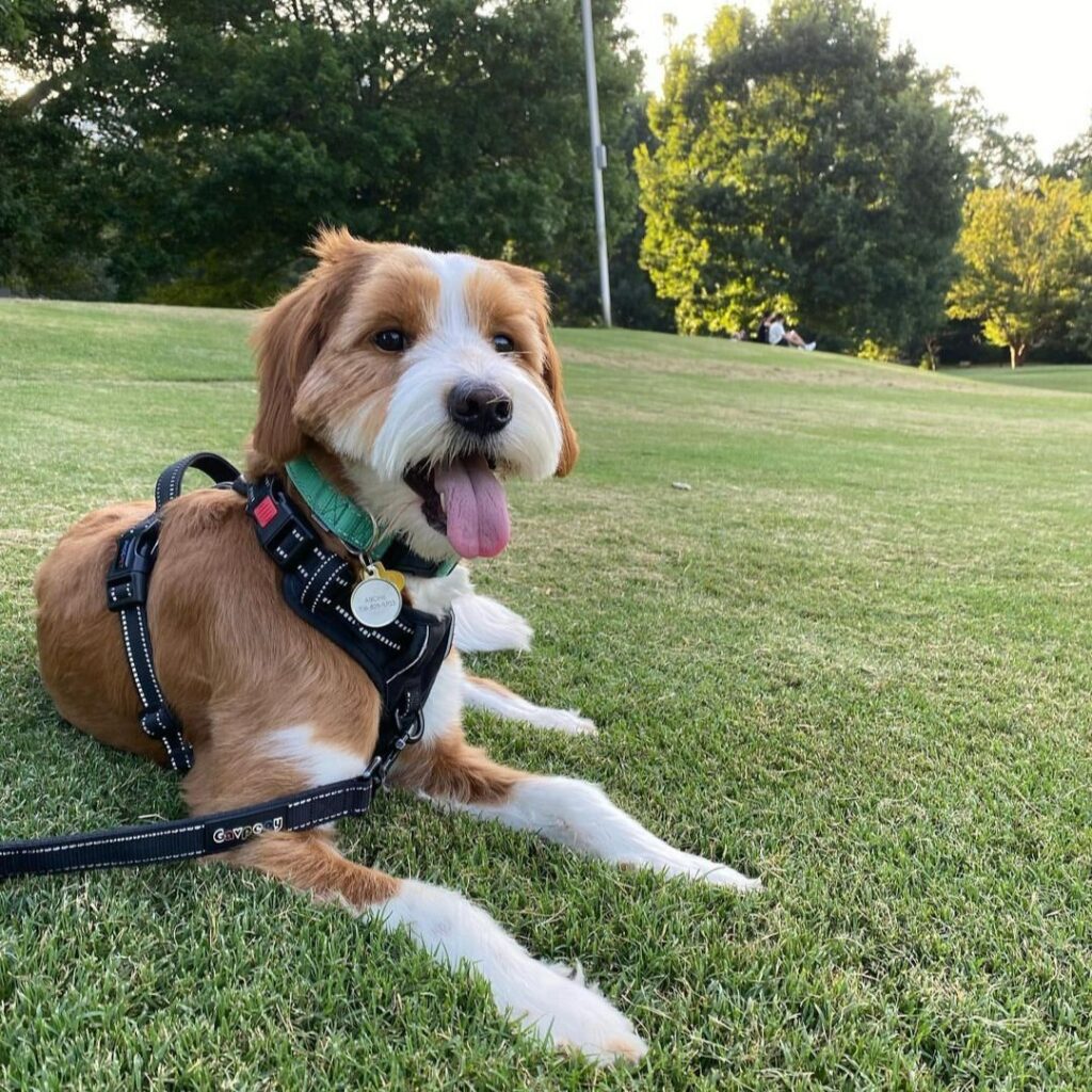 Things to Do in Atlanta: 10 Must-See Places –