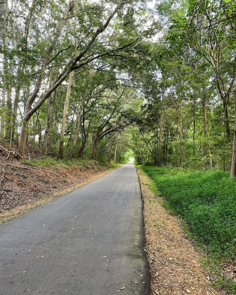 Things to Do in Greenville: 10 Must-See Places –