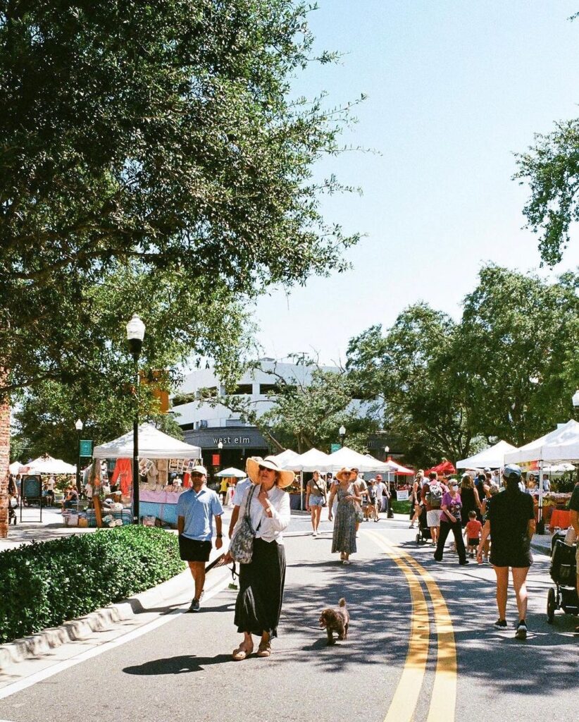 Things to Do in Tampa: 10 Must-See Attractions & Hidden Gems –