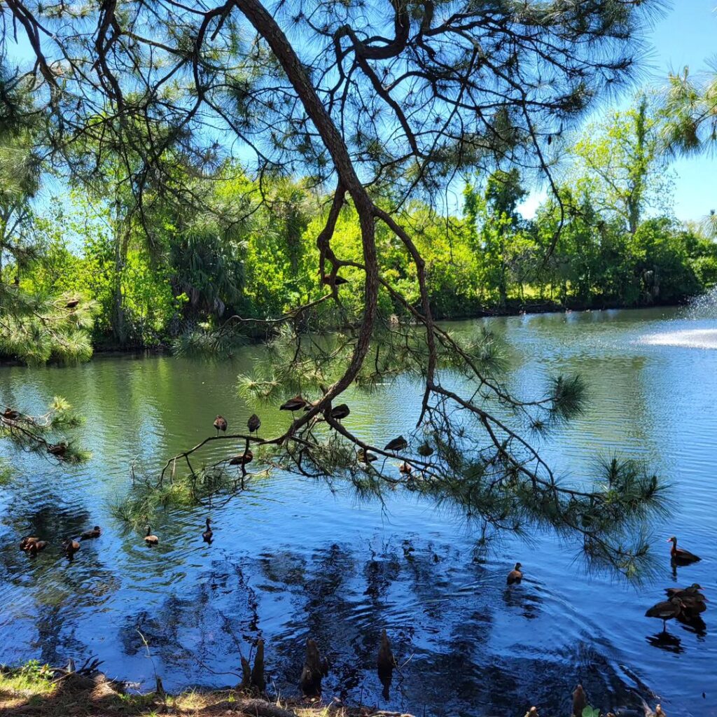 Things to Do in New Orleans: 10 Must-See Places You Can’t Miss –