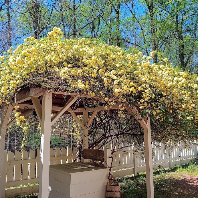 Things to Do in Atlanta: 10 Must-See Places –