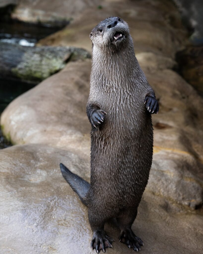 Things to Do in Tampa: 10 Must-See Attractions & Hidden Gems –