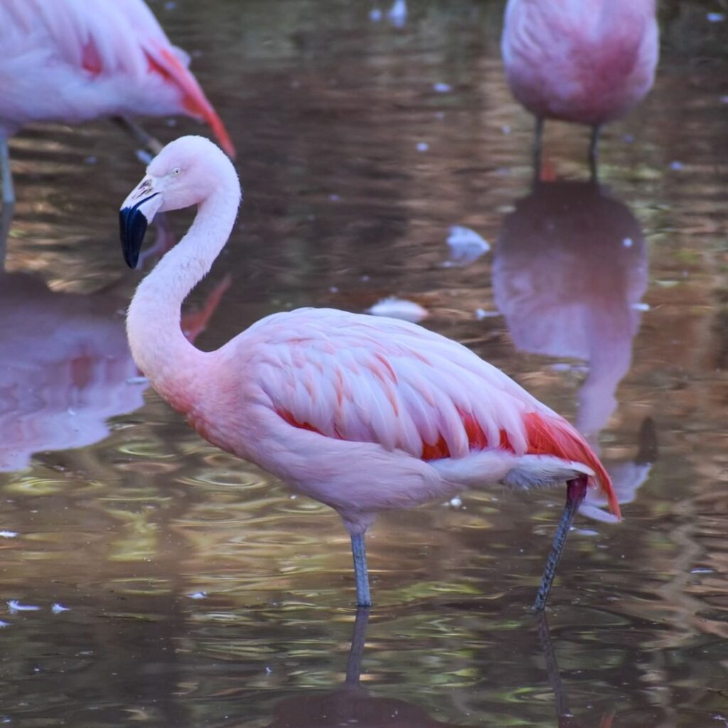 Things to Do in Greenville: 10 Must-See Places –