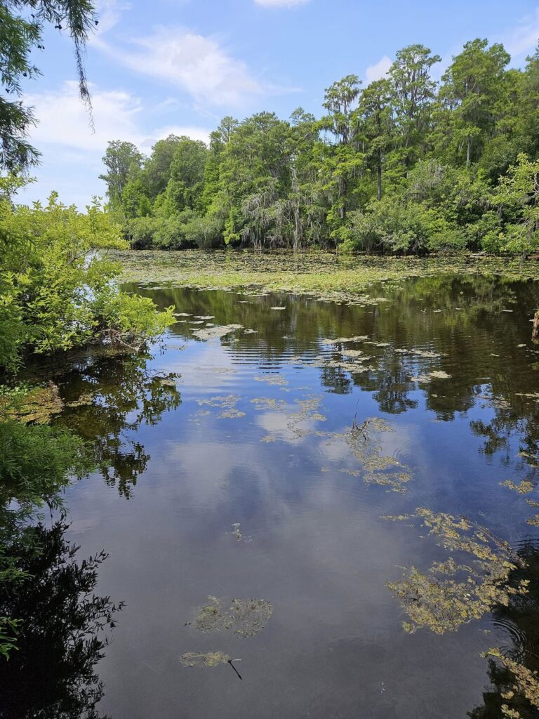 Things to Do in Tampa: 10 Must-See Attractions & Hidden Gems –