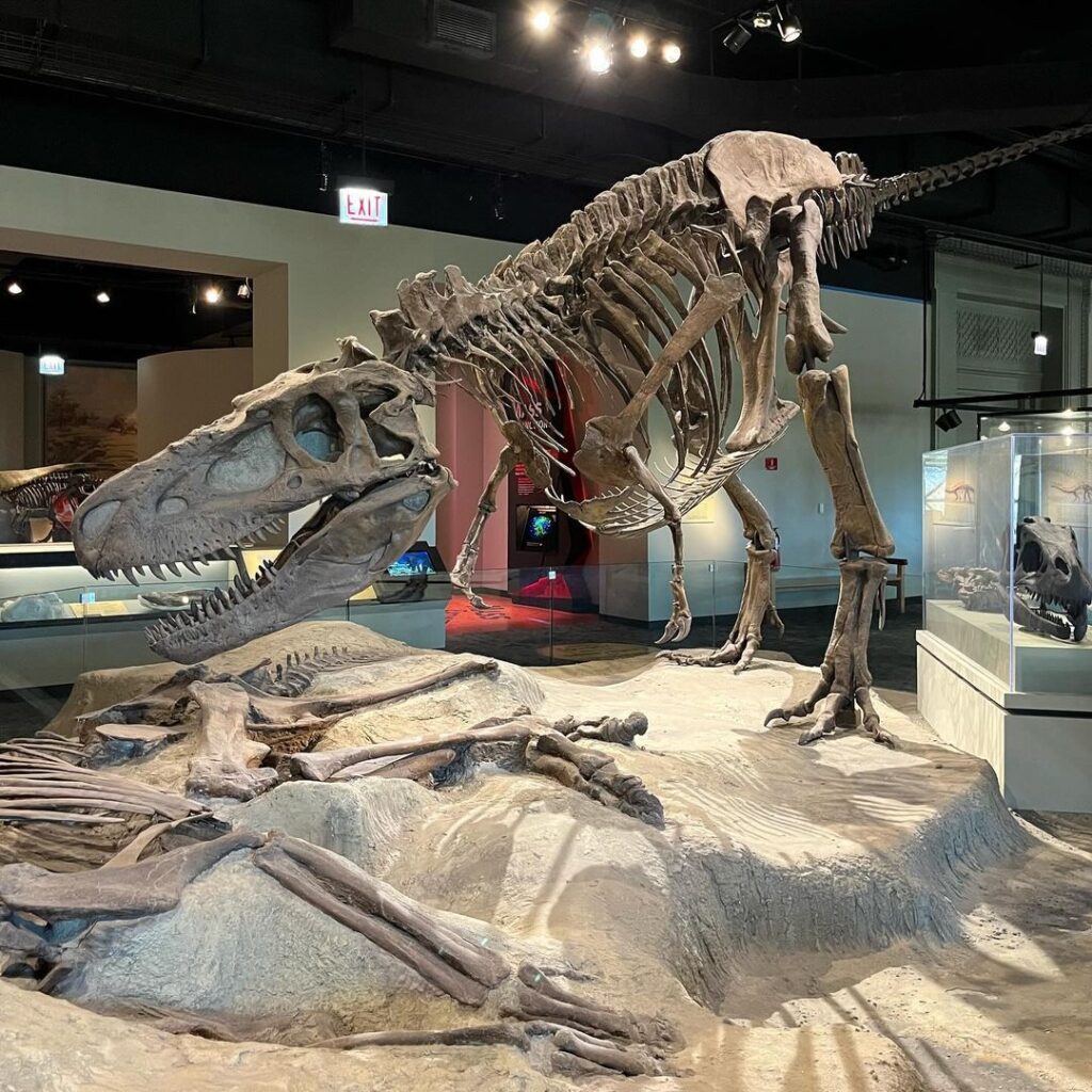 Things to Do in Chicago: 10 Must-See Places You Can’t Miss –