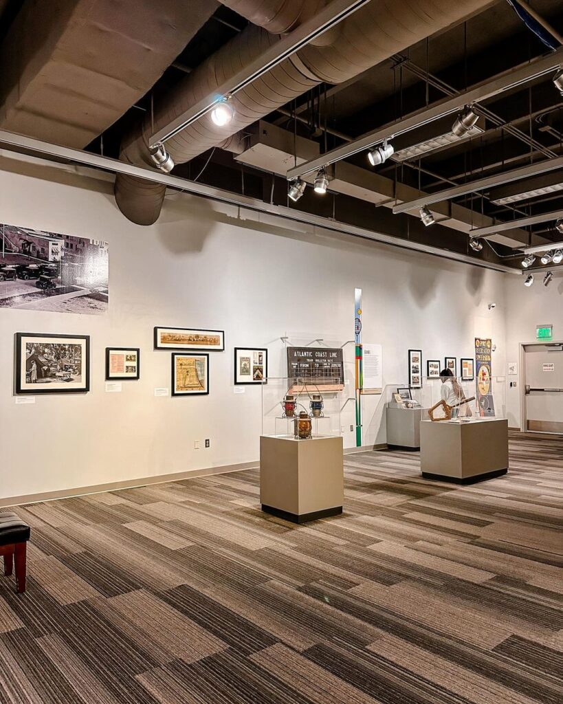 Things to Do in Tampa: 10 Must-See Attractions & Hidden Gems –