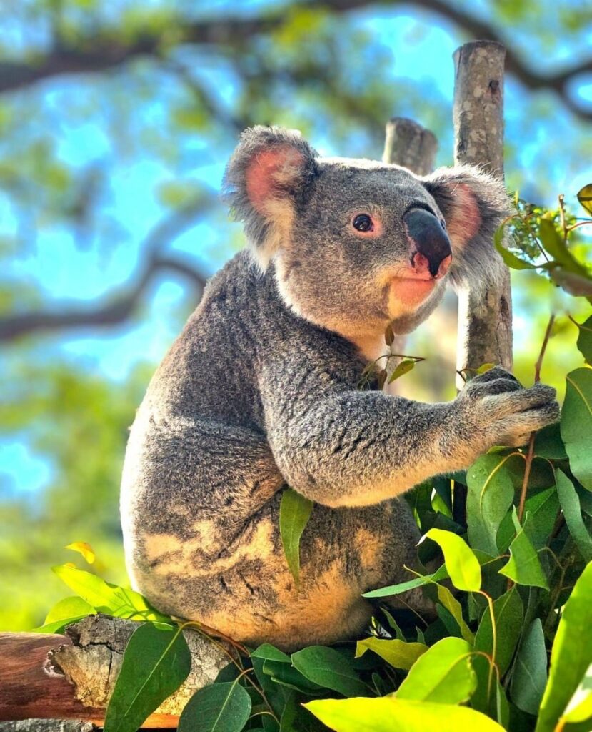 Things to Do in Tampa: 10 Must-See Attractions & Hidden Gems –