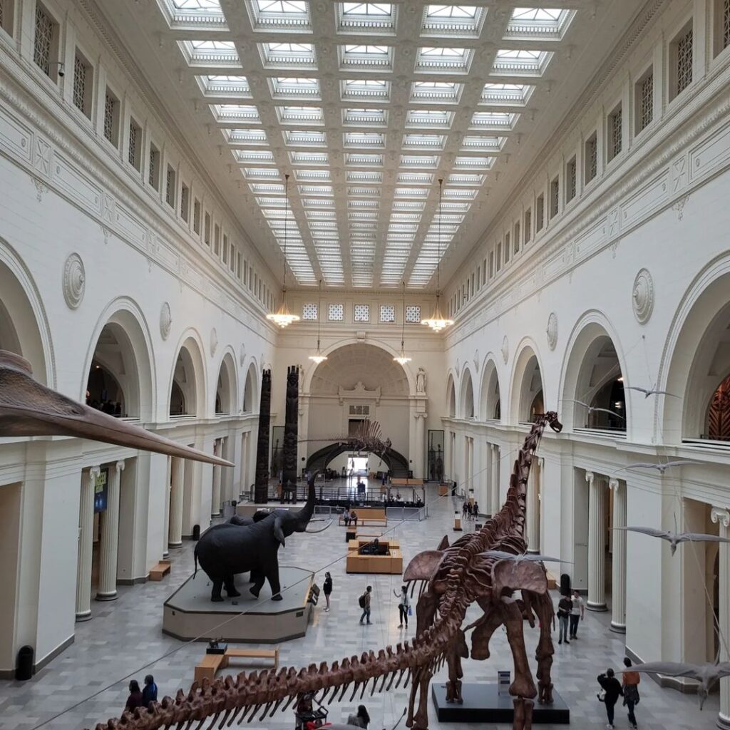 Things to Do in Chicago: 10 Must-See Places You Can’t Miss –