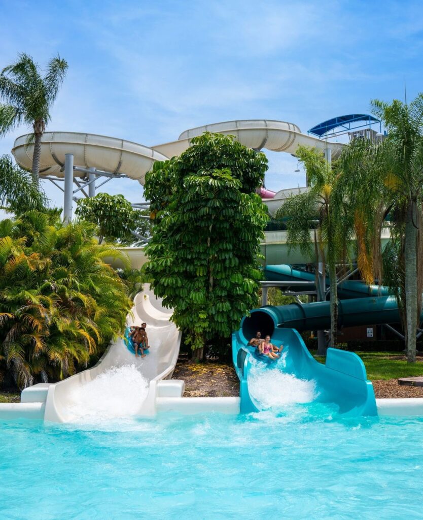 Things to Do in Tampa: 10 Must-See Attractions & Hidden Gems –