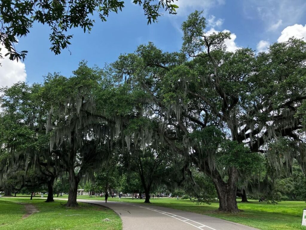 Things to Do in New Orleans: 10 Must-See Places You Can’t Miss –