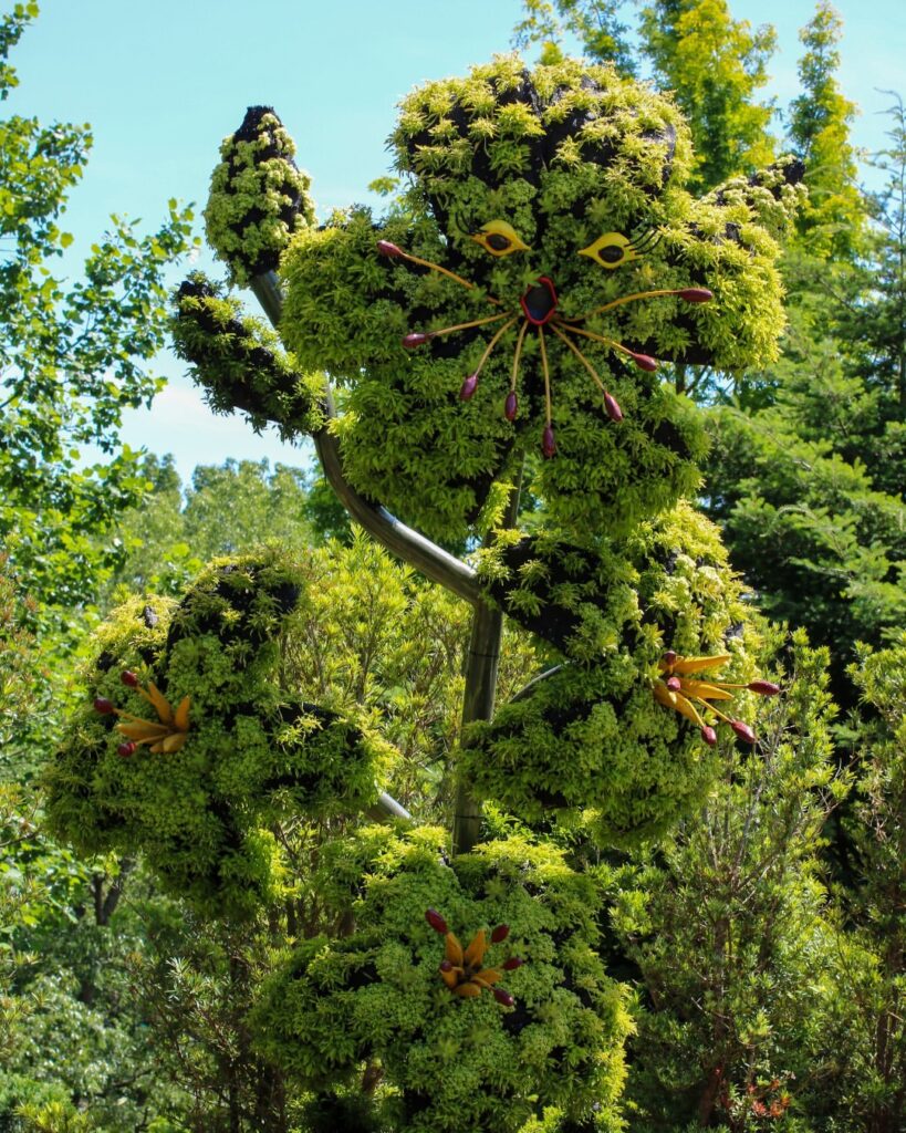 Things to Do in Atlanta: 10 Must-See Places –