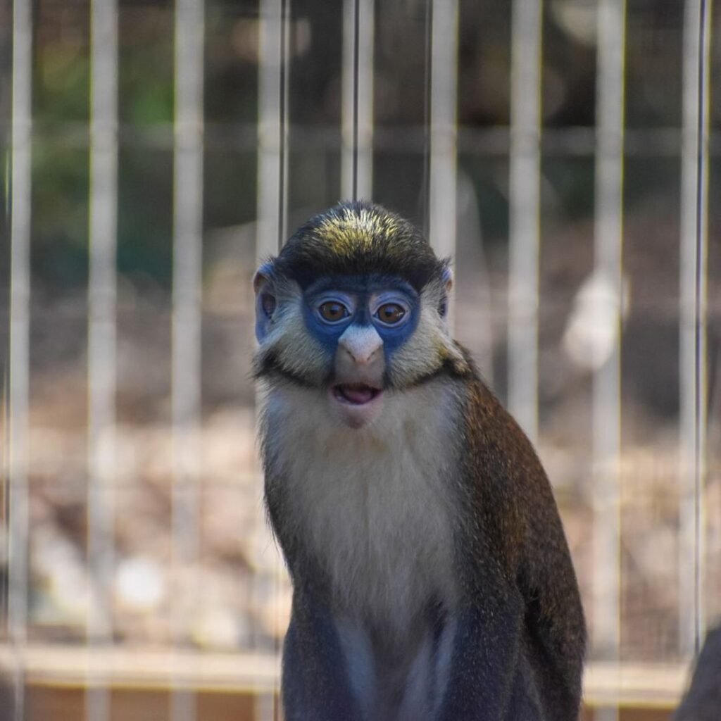 Things to Do in Greenville: 10 Must-See Places –