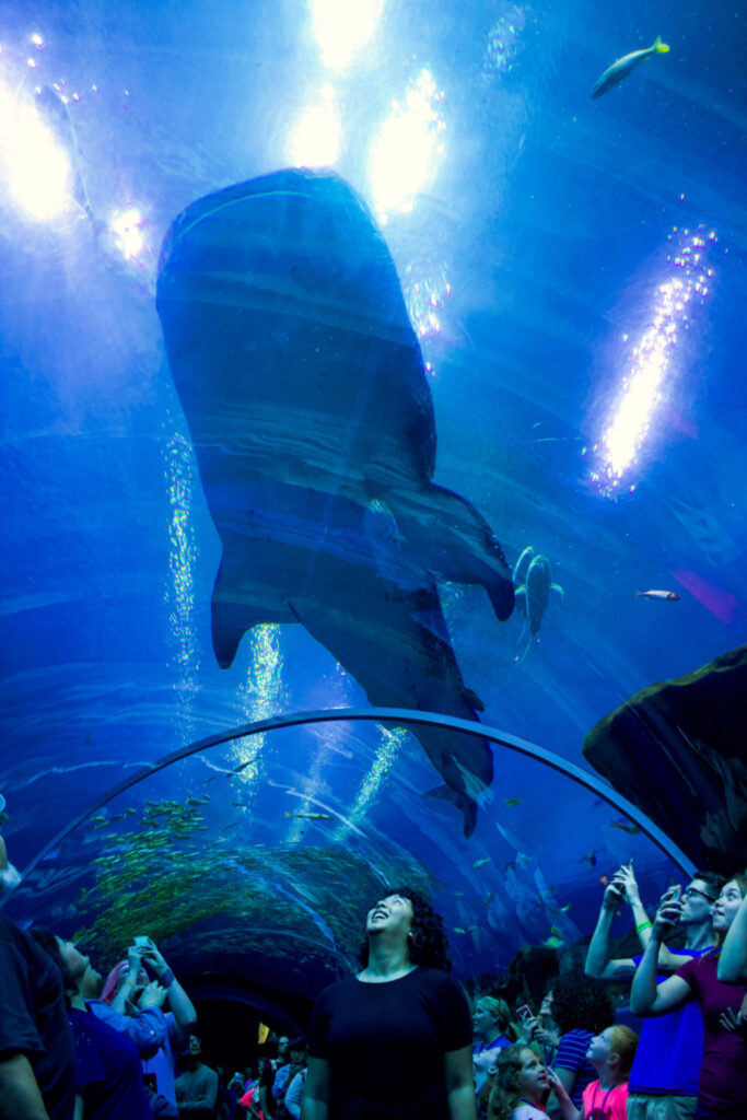 Things to Do in Atlanta: 10 Must-See Places –